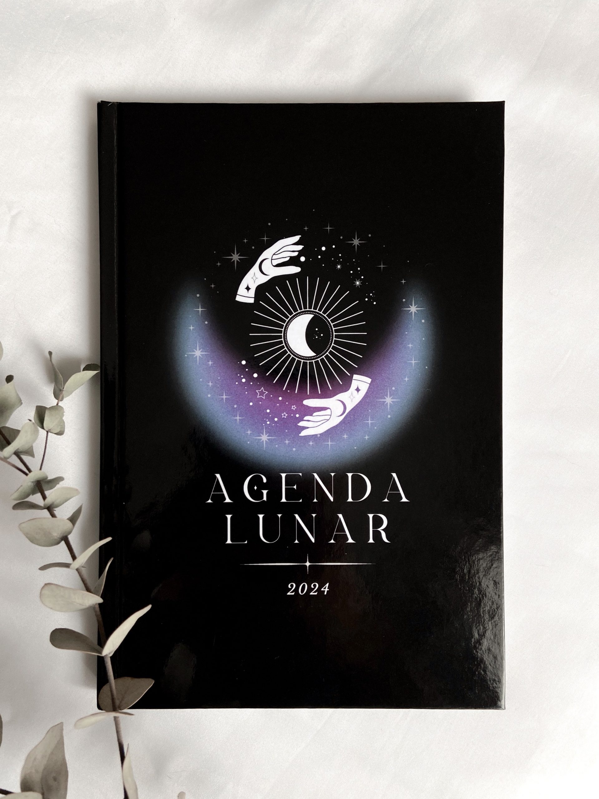 agenda lunar 2024